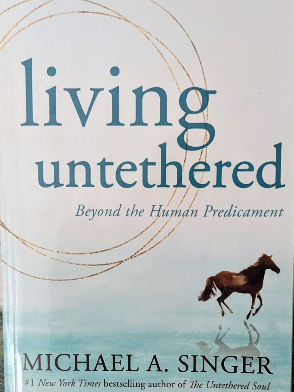 Living Untethered by Michael A. Singer - Teal Cover